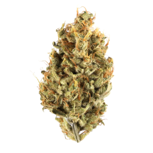 Banana OG Weed Strain