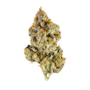 White Tahoe Cookies Weed Strain
